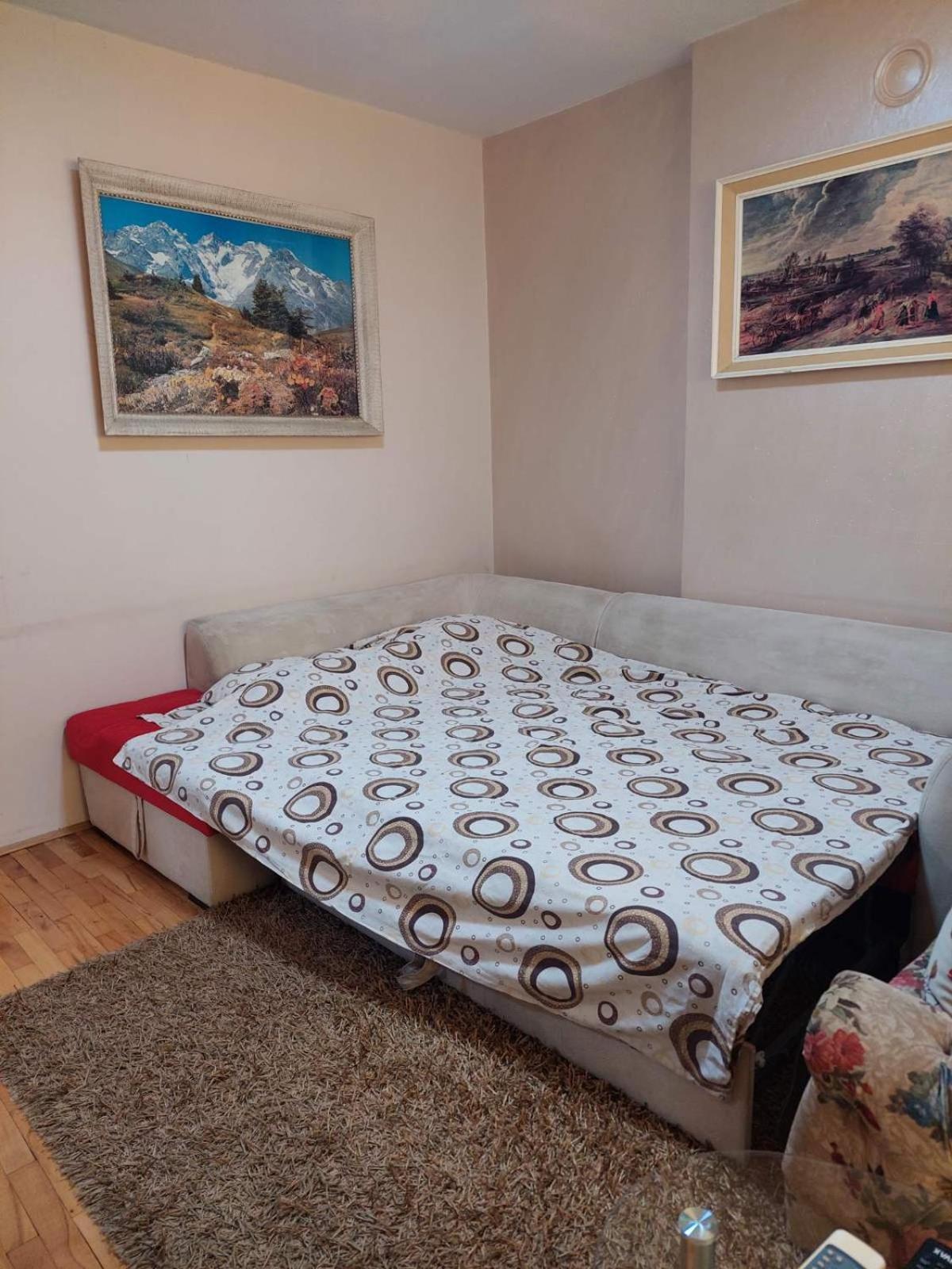 Apartment Vuk بودغوريتْسا المظهر الخارجي الصورة
